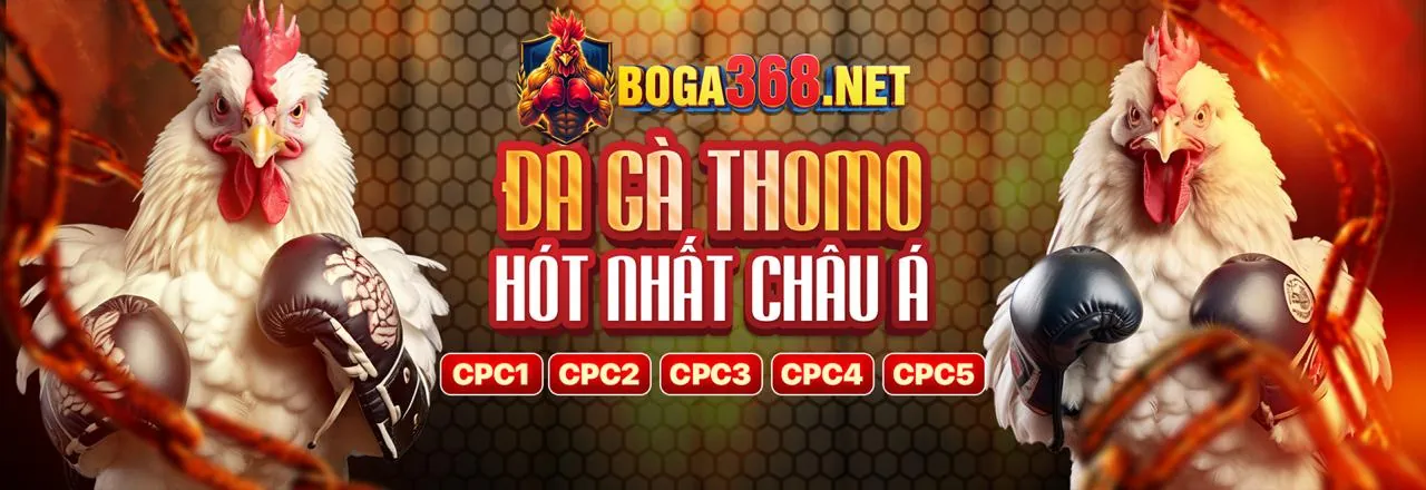Liên hệ hỗ trợ 02go8