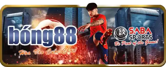 Hoàn trả cược thể thao 02go8
